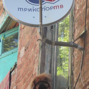 От ТиВи, да от сумы не зарекайся От ТиВи, да от сумы не зарекайся