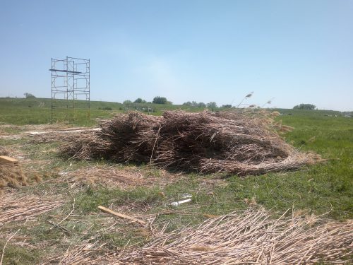 Кинопроизводство в Ростовской области. Фото: Галина Пилипенко. 2017-05-06