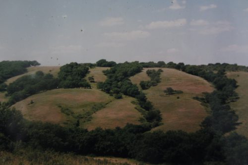 Дон. Калач. Вилюжины балок. Фото: Валерий Кульченко. 2000 год.