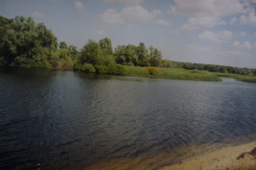 Протока в пойме Дона (левобережье), озеро Бугаково. Фото: Валерий Кульченко. 2000 год.