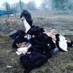 Сожжение шуб или в чём провинились  красавицы?