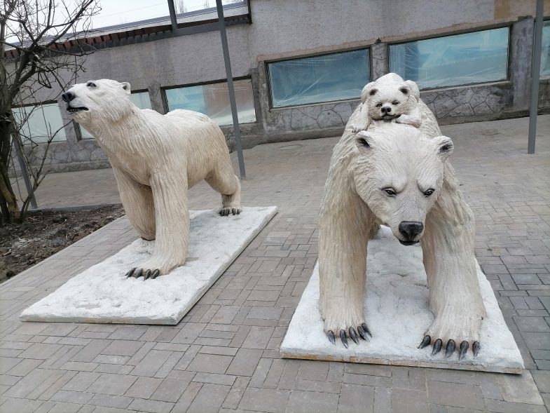 Белые медведи: Комета, Айон и девочка Айка. Фото: Галина Пилипенко